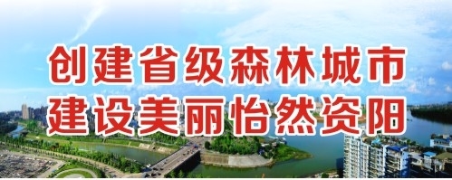 插逼插逼逼啊创建省级森林城市 建设美丽怡然资阳